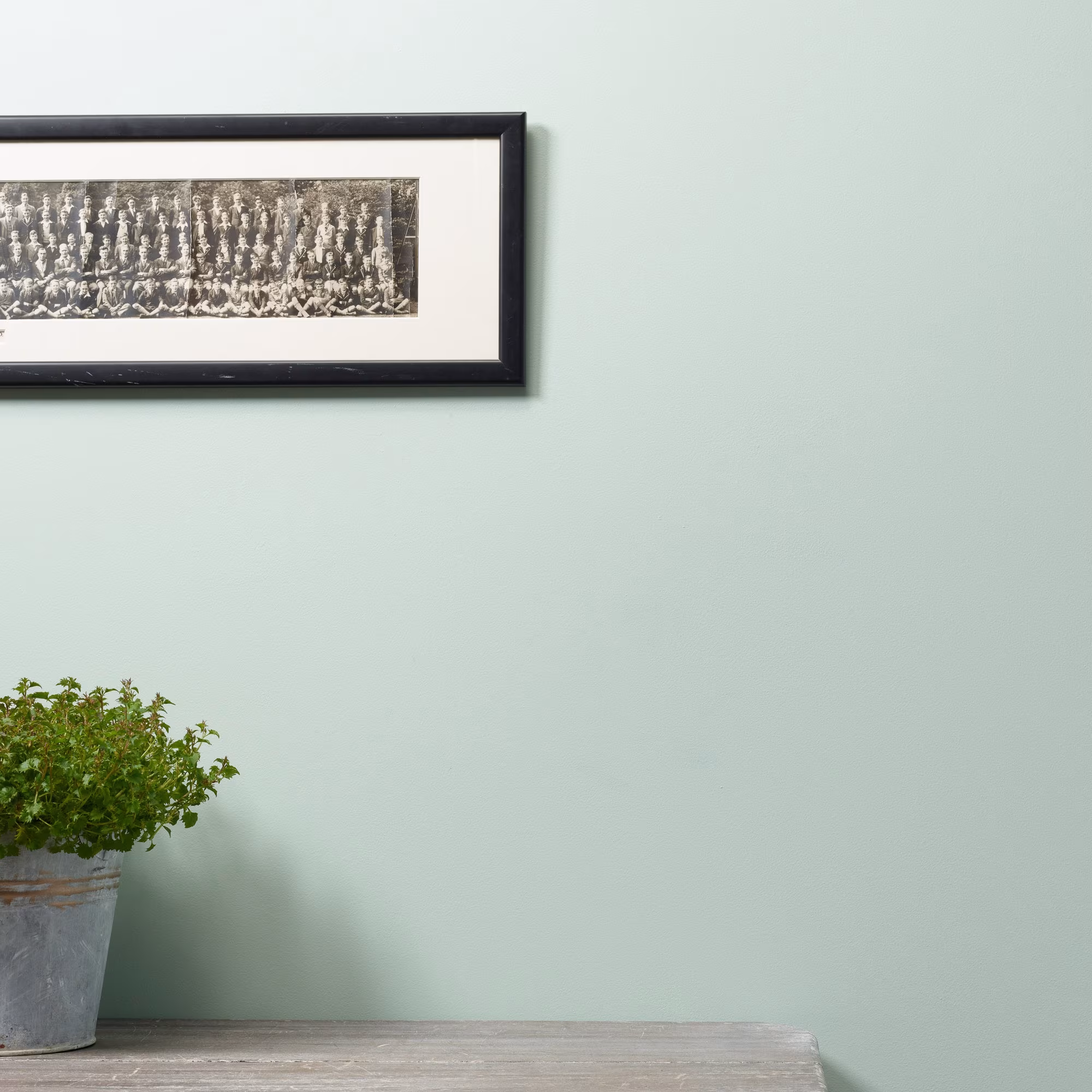 Little Duckle Trim Paint - Image 2