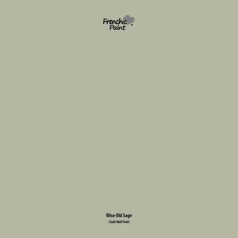 Wise Old Sage - Peel & Stick Paint Sample