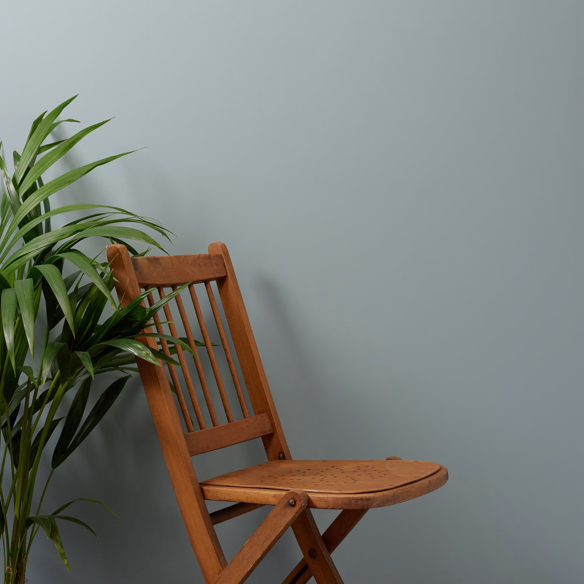 Scotch Mist Trim Paint - Image 2